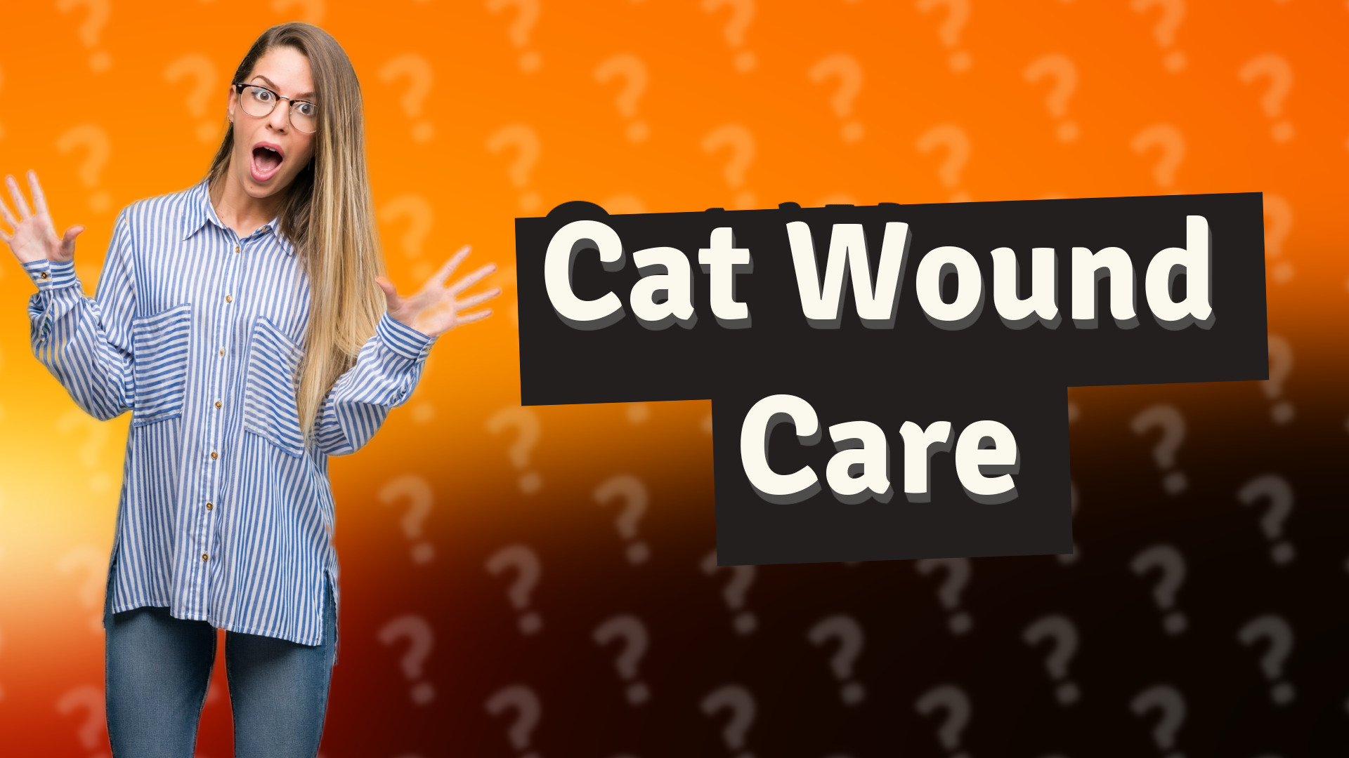 Cat Wound Care