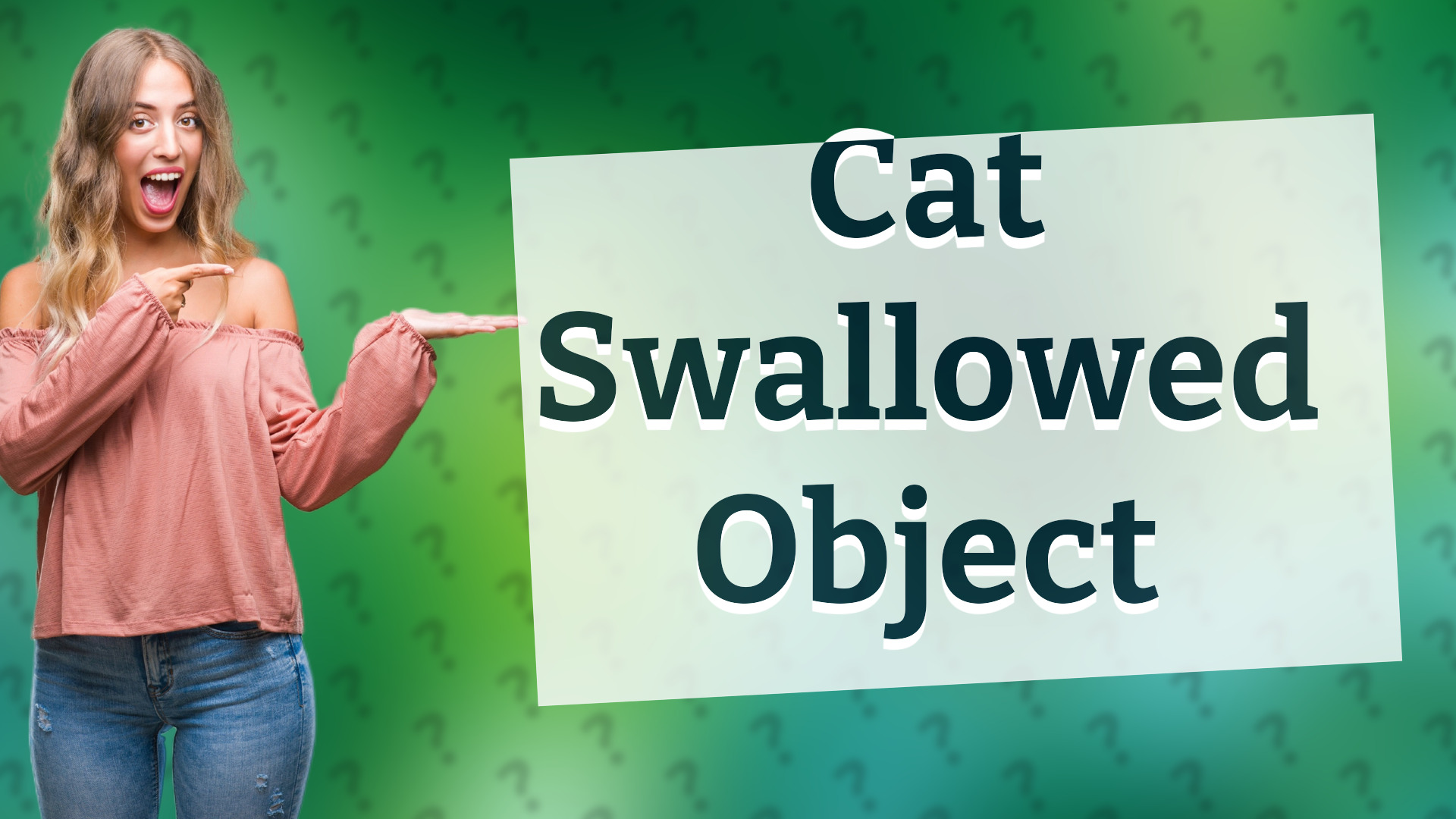 Cat Swallowed Object