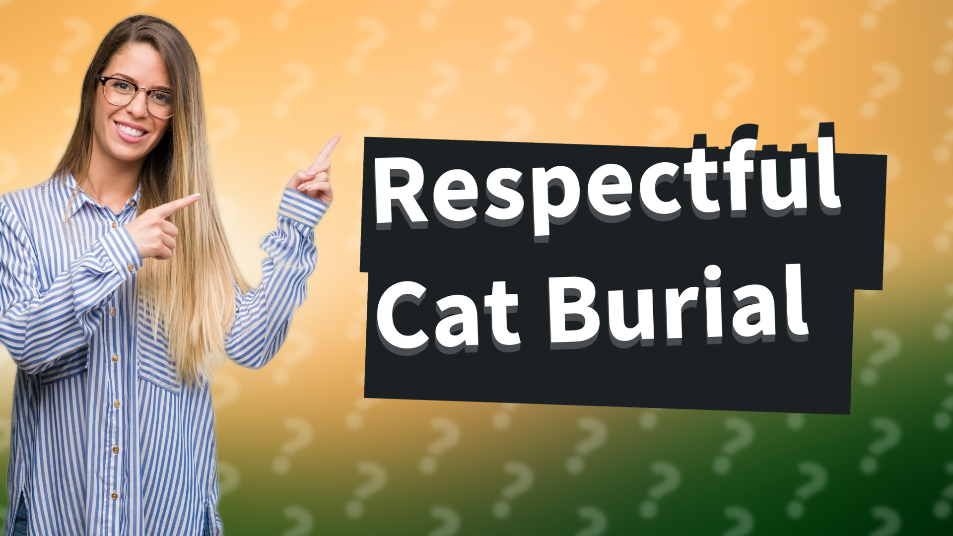 Respectful Cat Burial