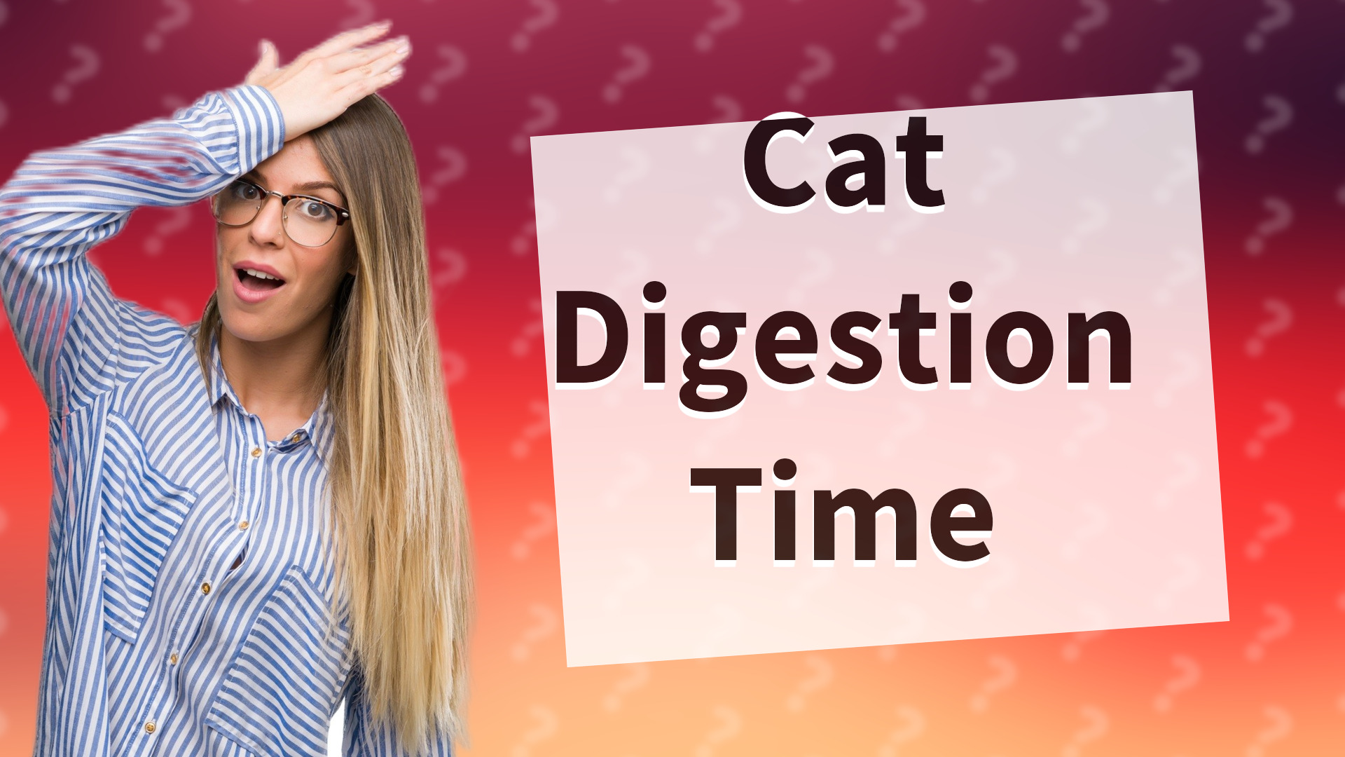 Cat Digestion Time