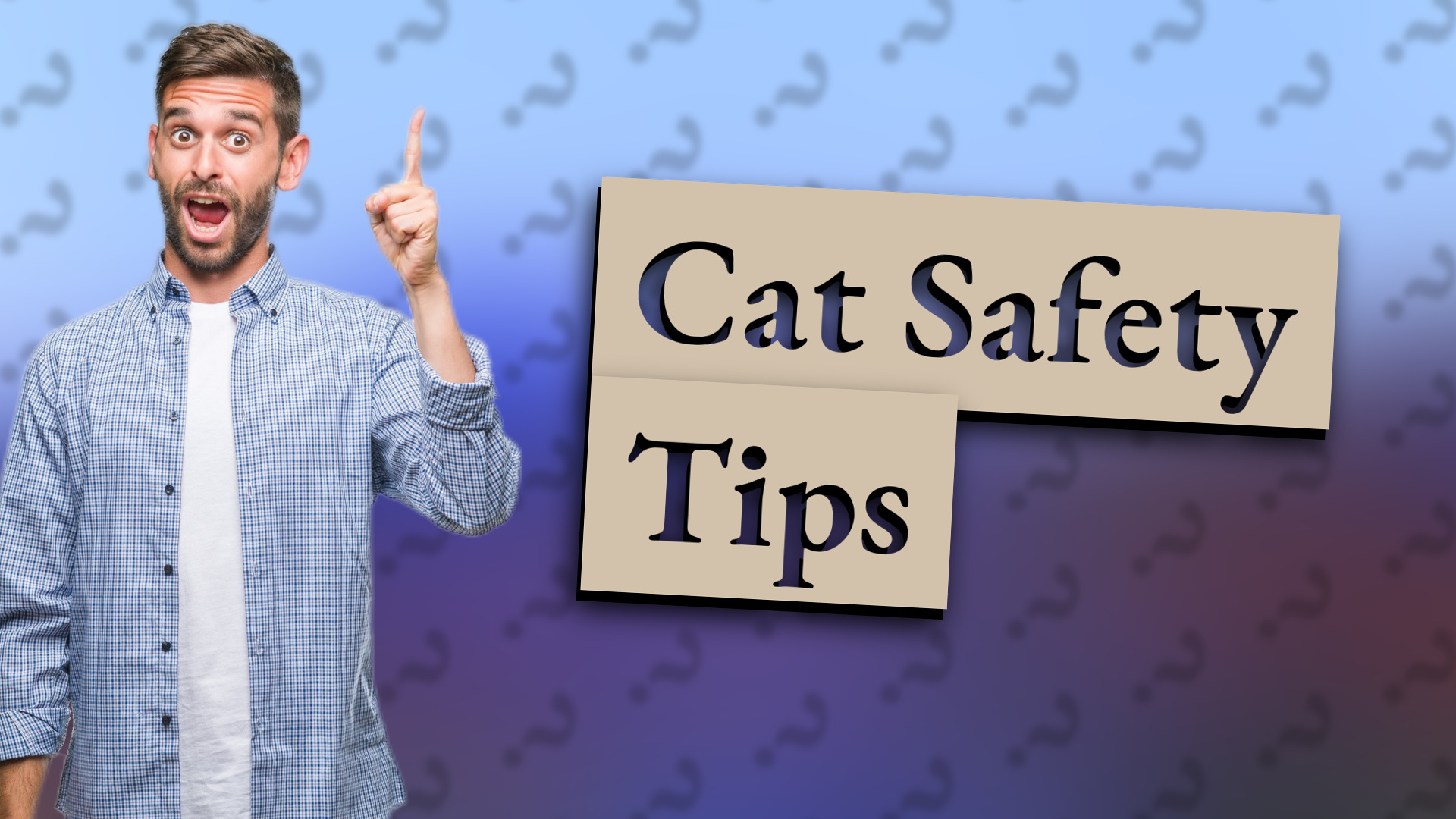 Cat Safety Tips