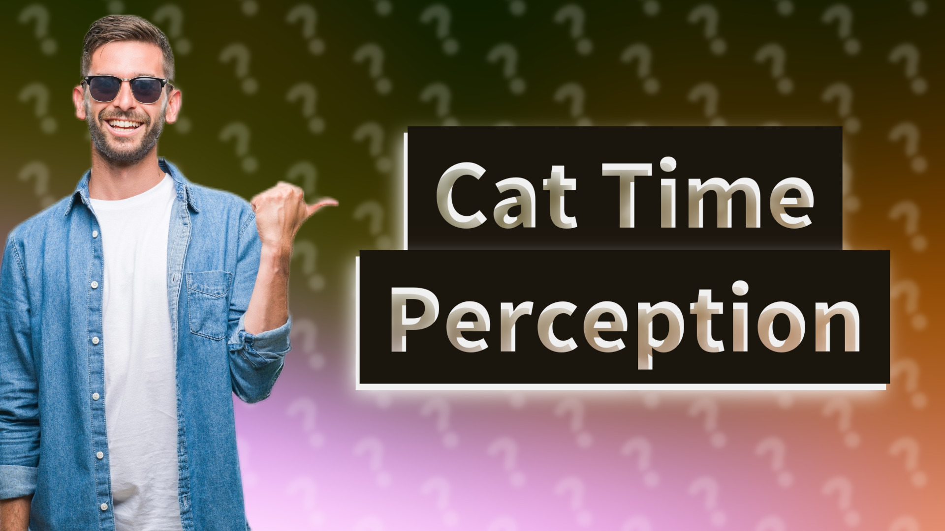 Cat Time Perception