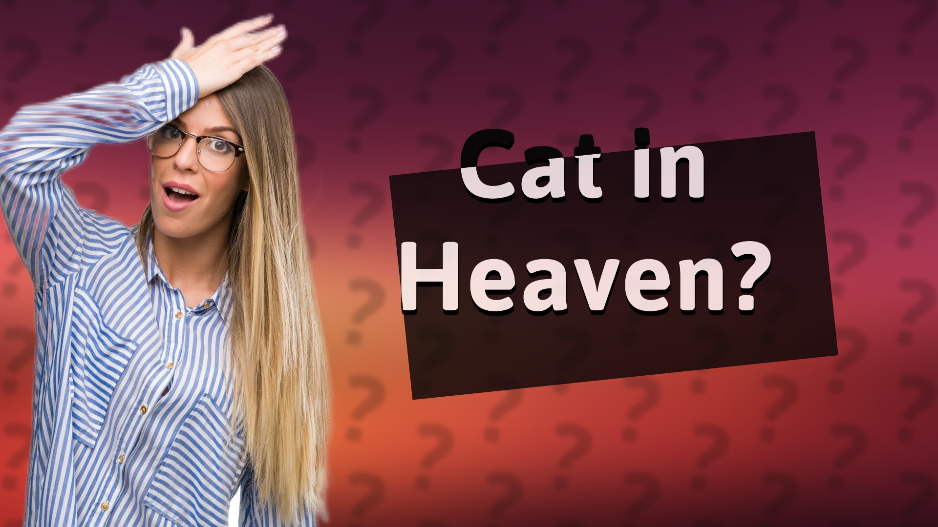 Cat in Heaven?