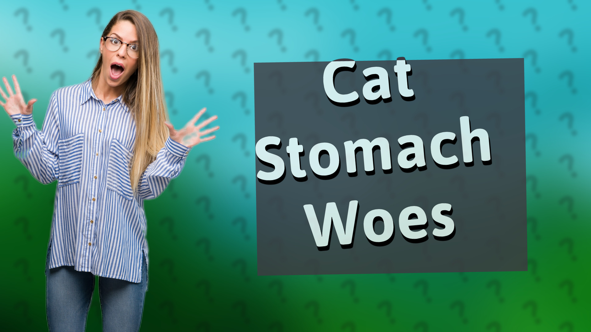 Cat Stomach Woes