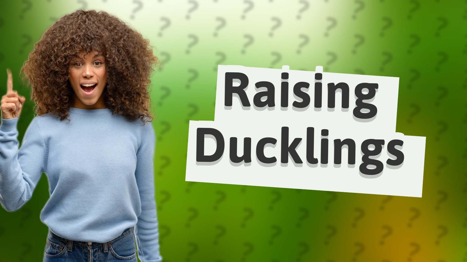 Raising Ducklings