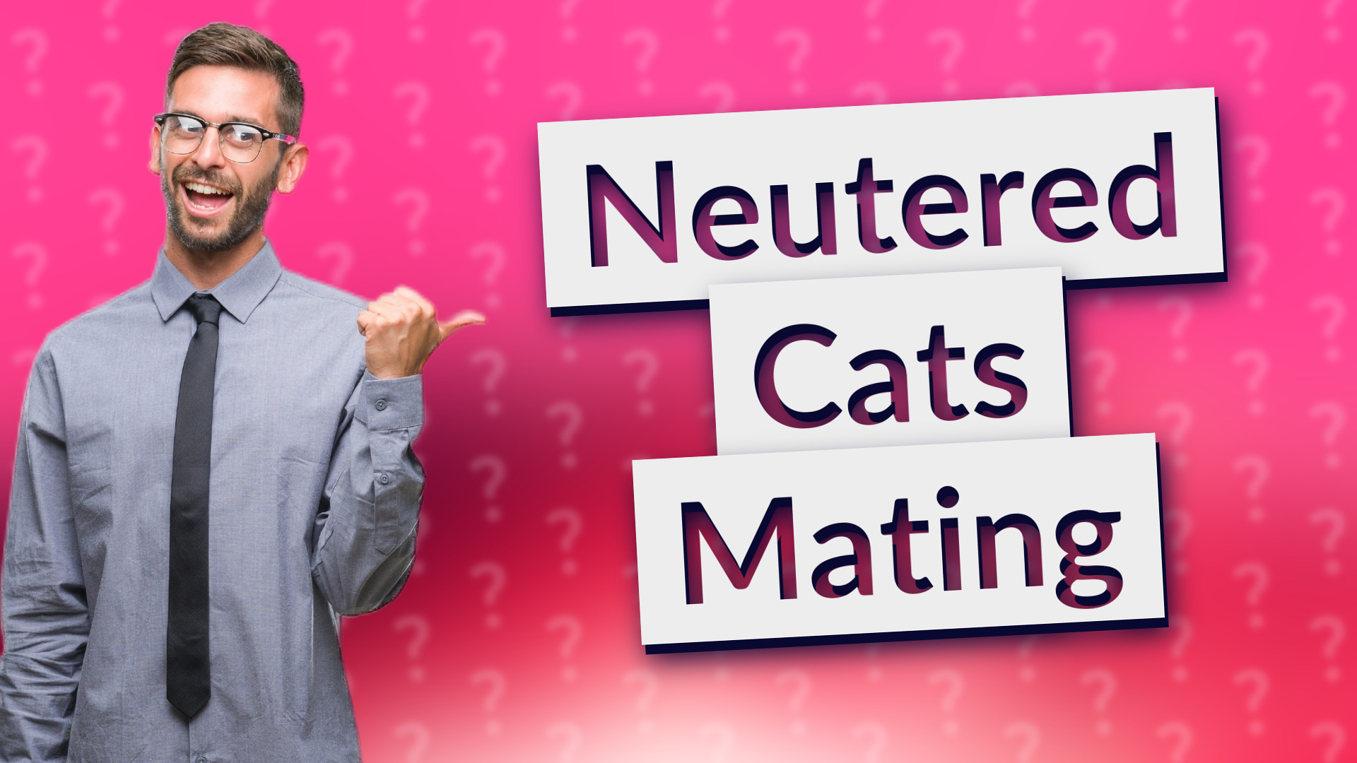 Neutered Cats Mating