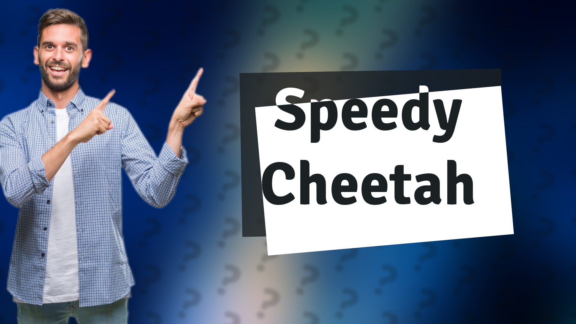 Speedy Cheetah
