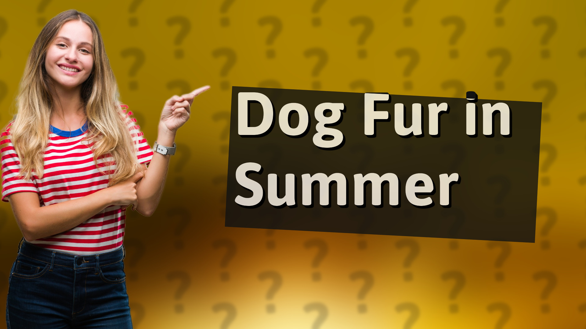 Dog Fur in Summer