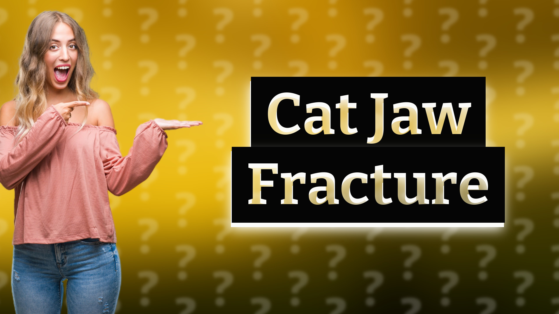 Cat Jaw Fracture