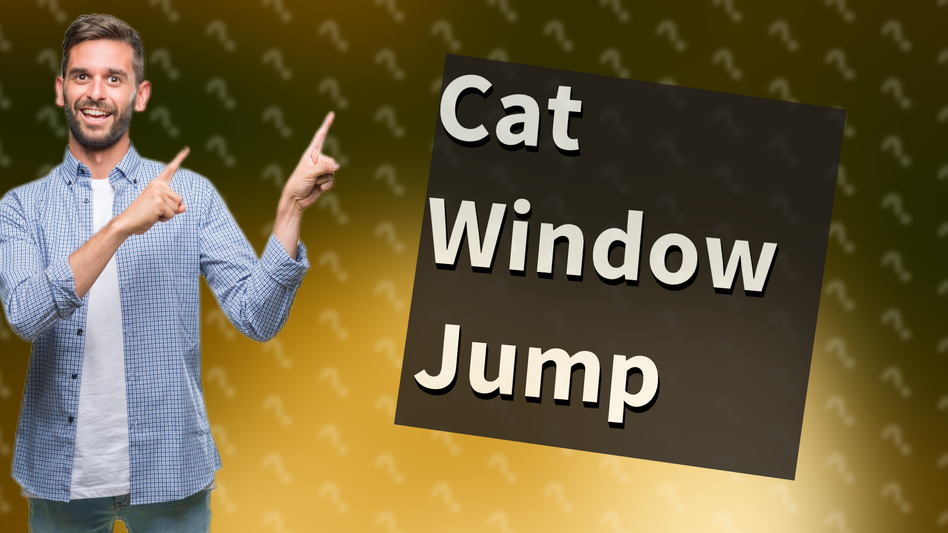 Cat Window Jump
