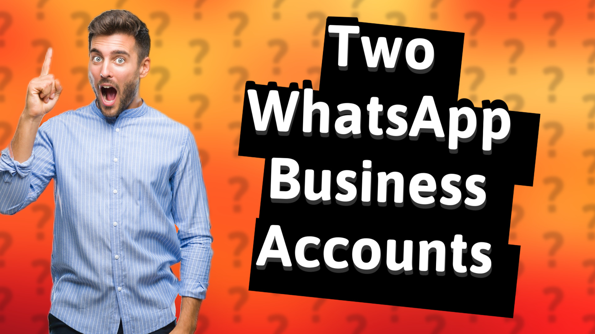 Two WhatsApp Business Accounts