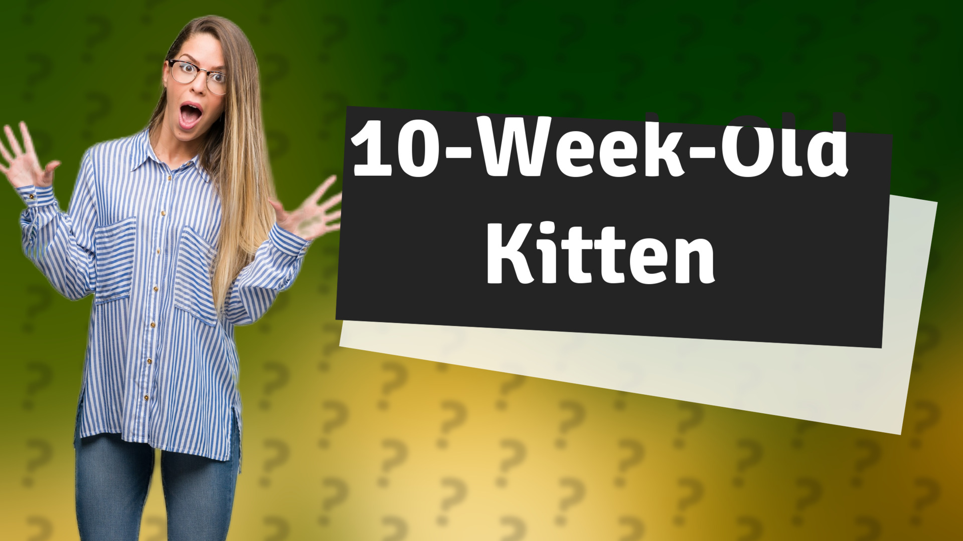 10-Week-Old Kitten
