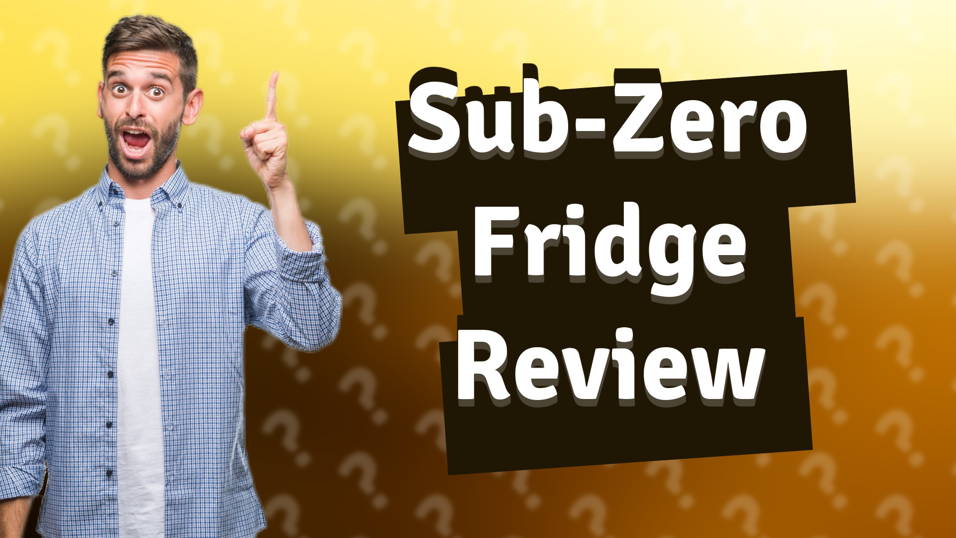 Sub-Zero Fridge Review