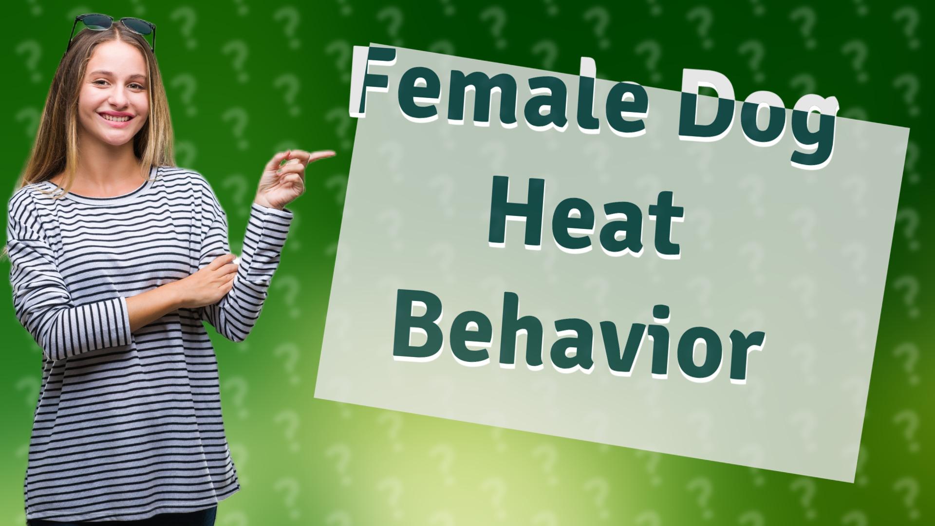 Female Dog Heat Behavior