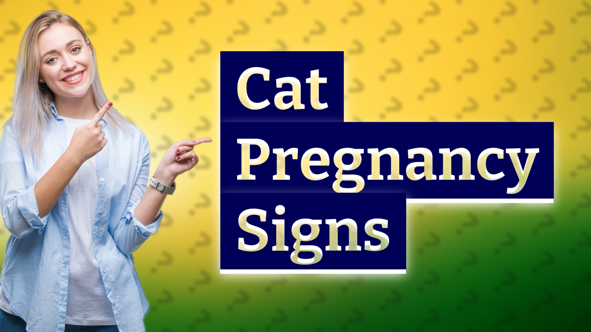 Cat Pregnancy Signs