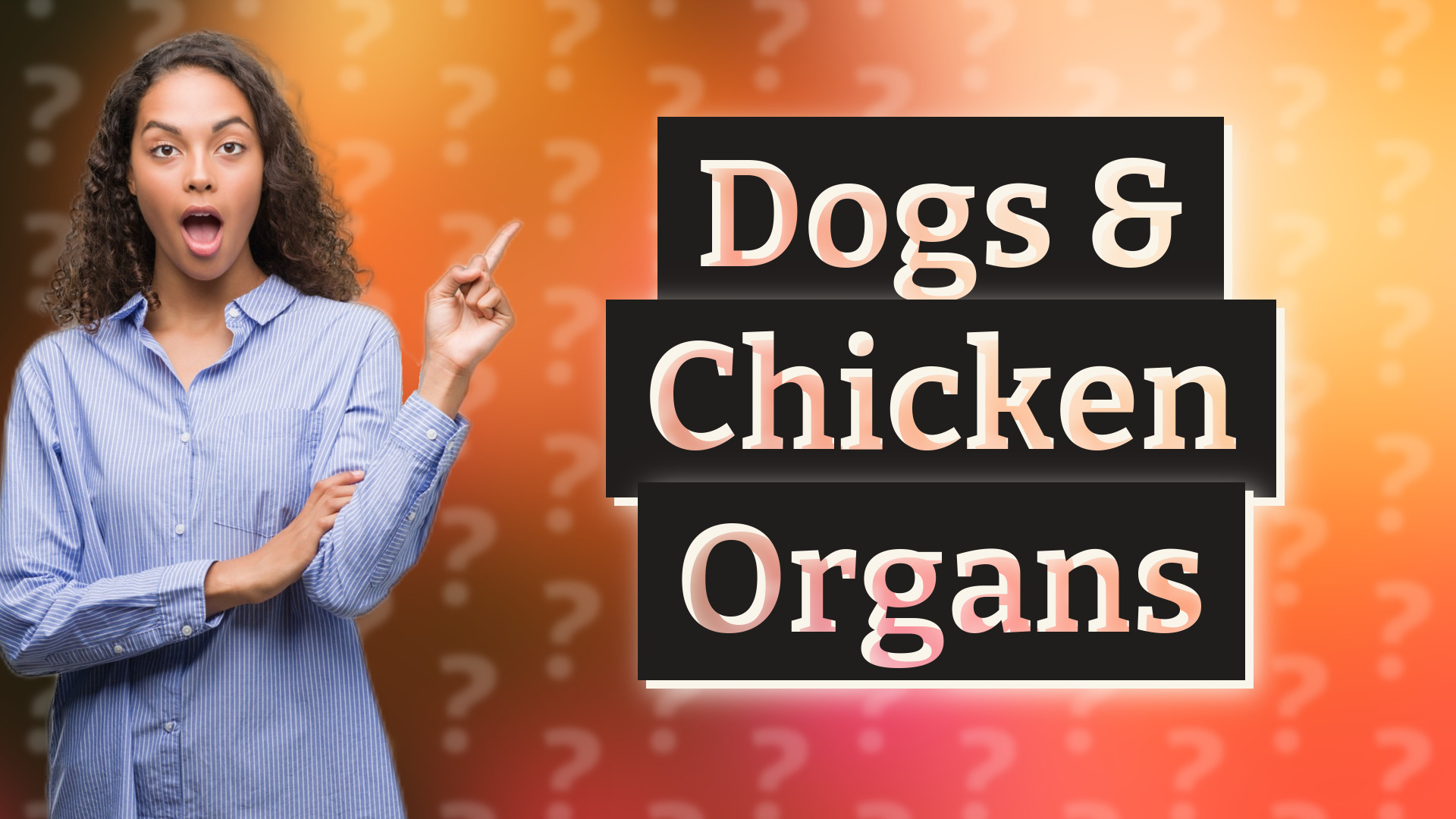 Dogs & Chicken Organs