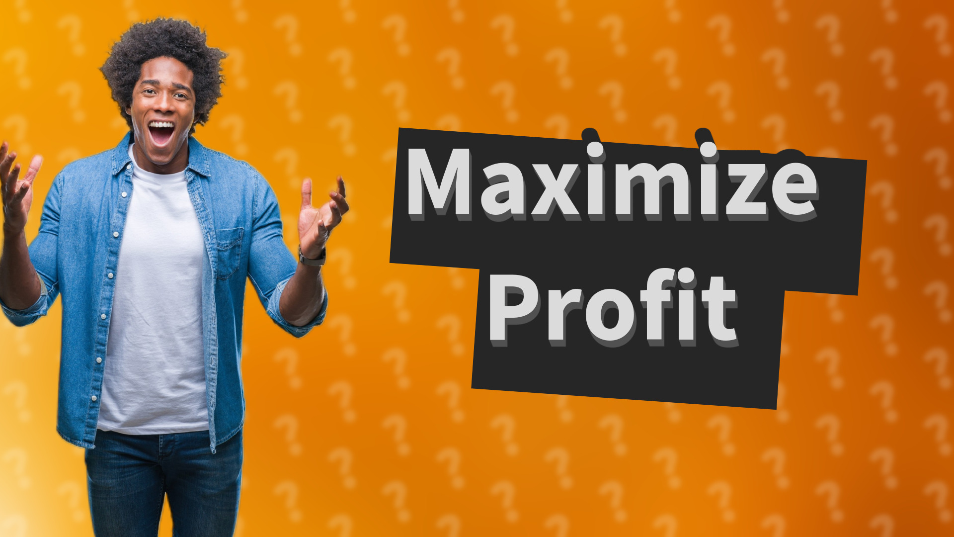 Maximize Profit