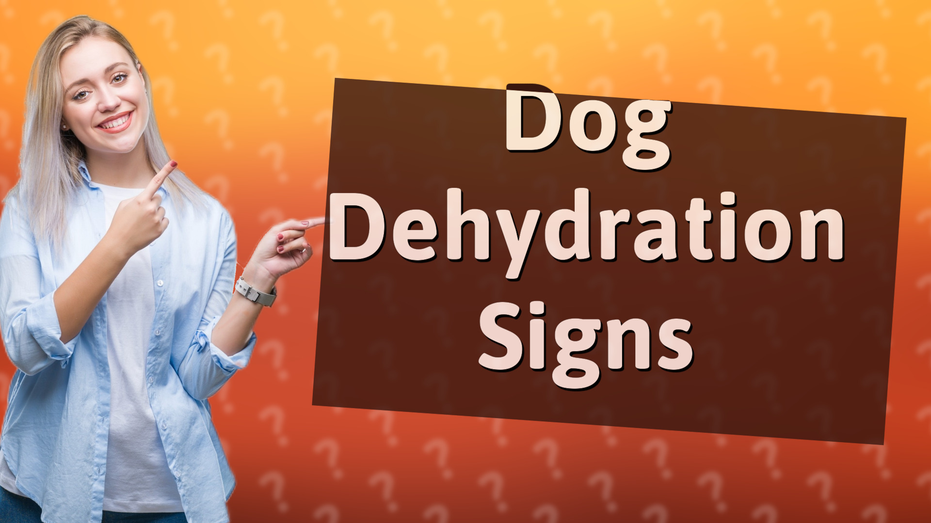 Dog Dehydration Signs