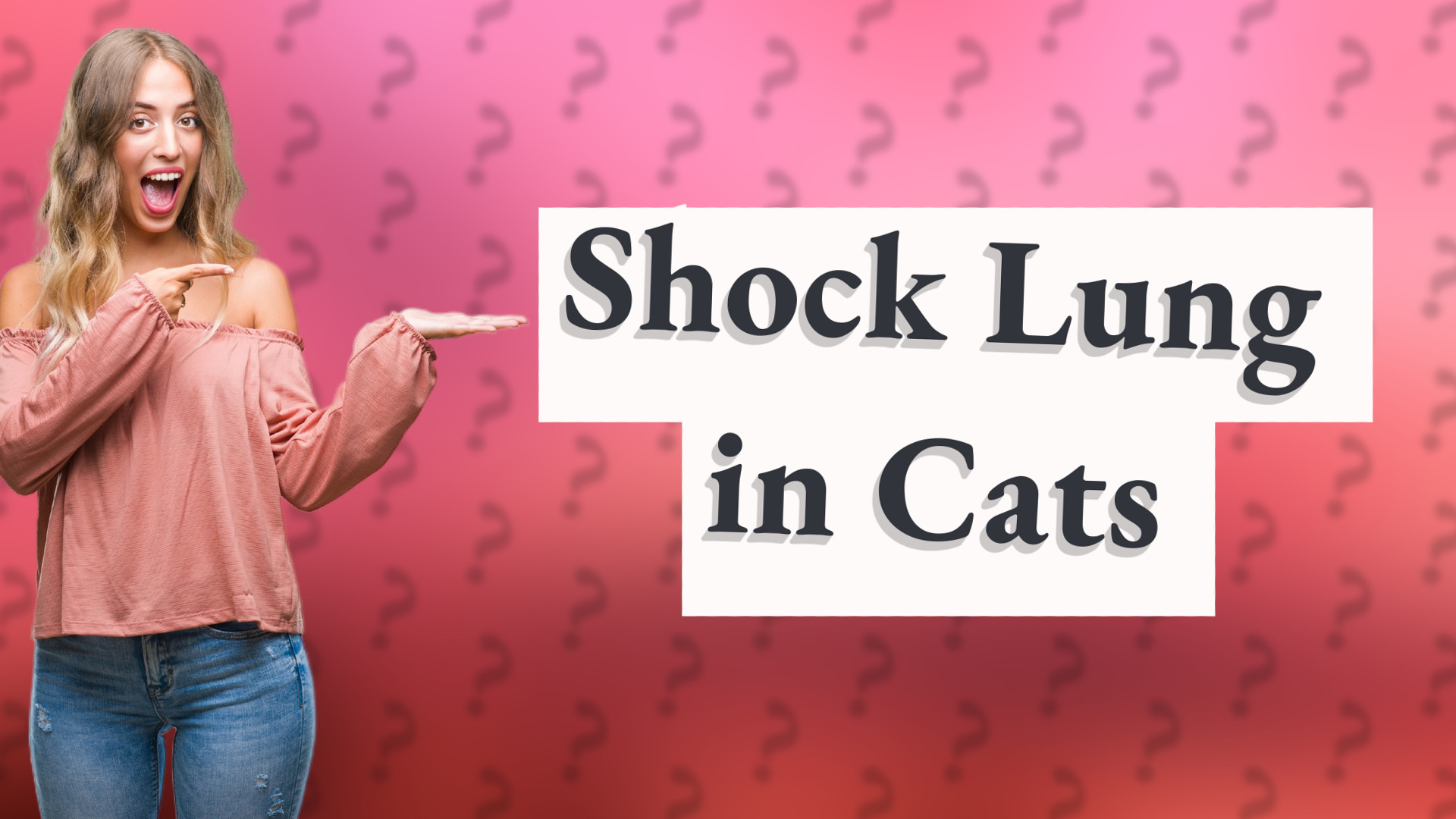 Shock Lung in Cats