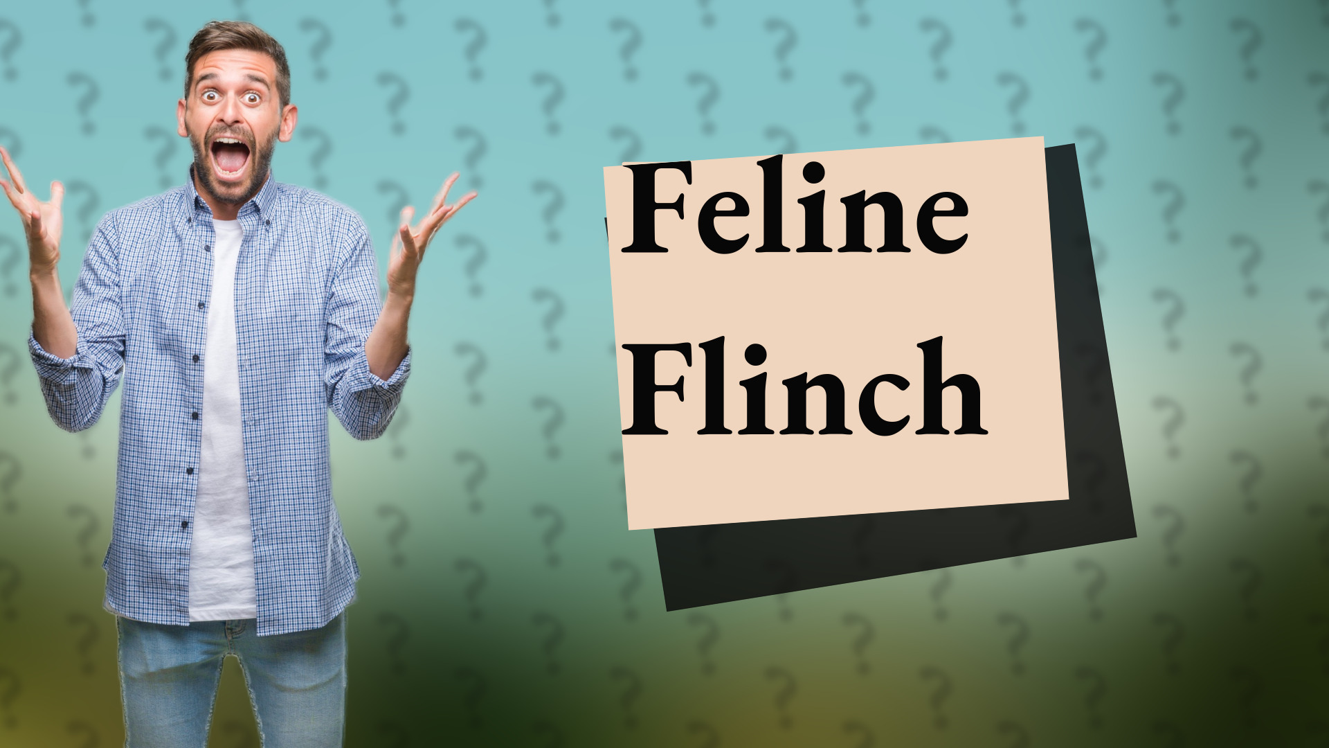 Feline Flinch