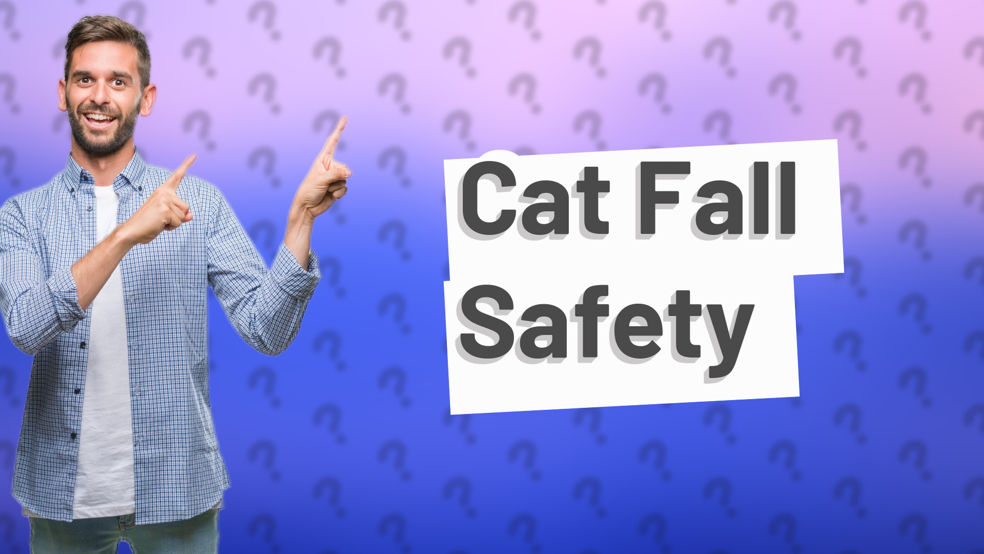 Cat Fall Safety