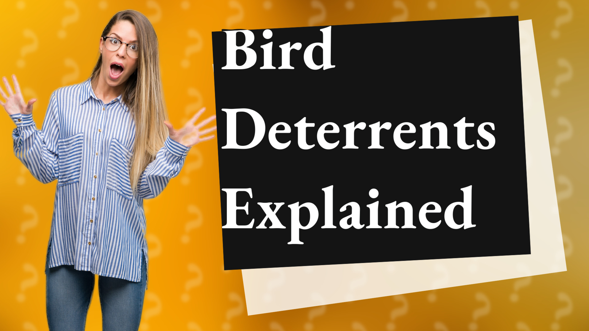 Bird Deterrents Explained