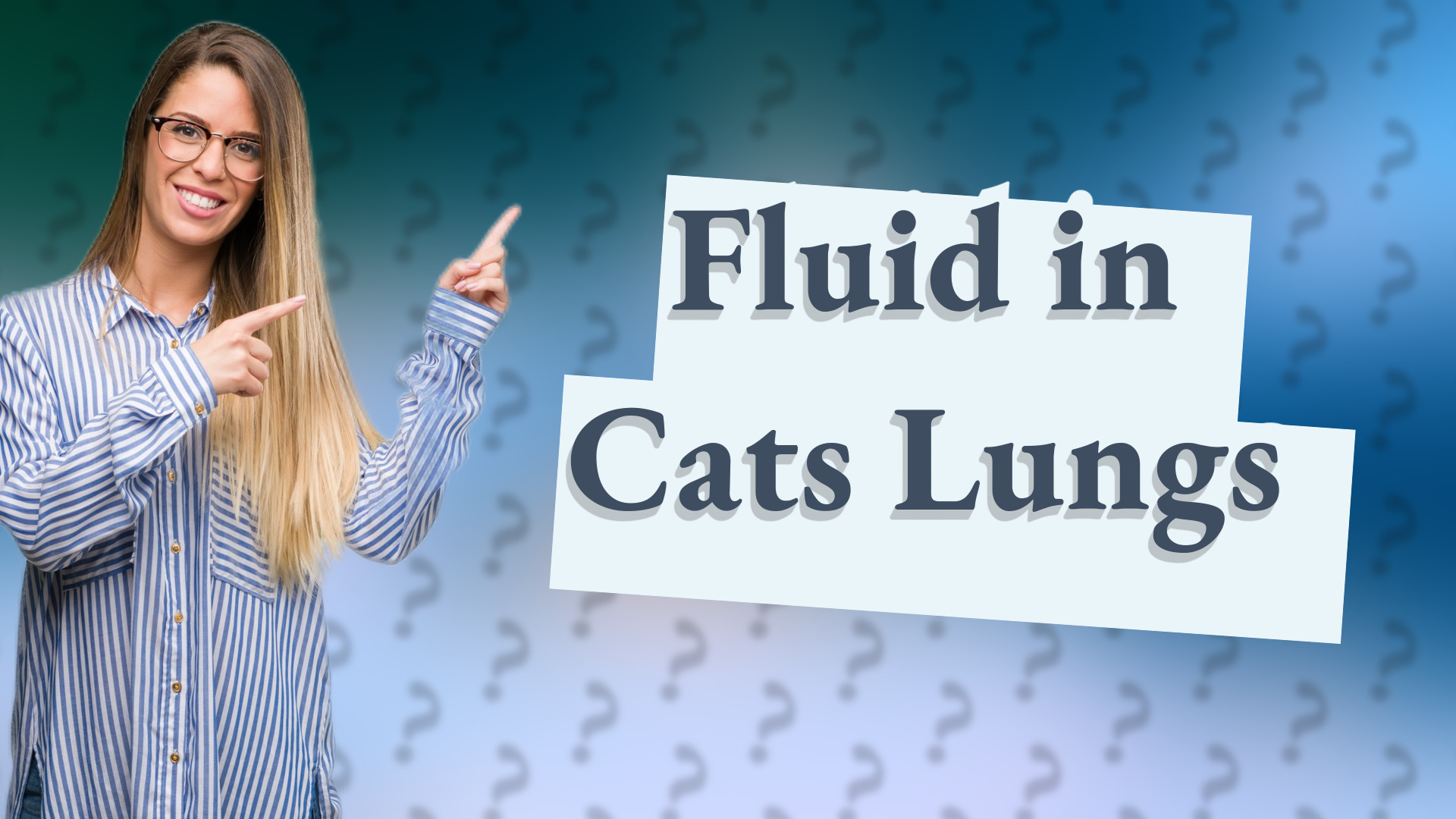 Fluid in Cats Lungs