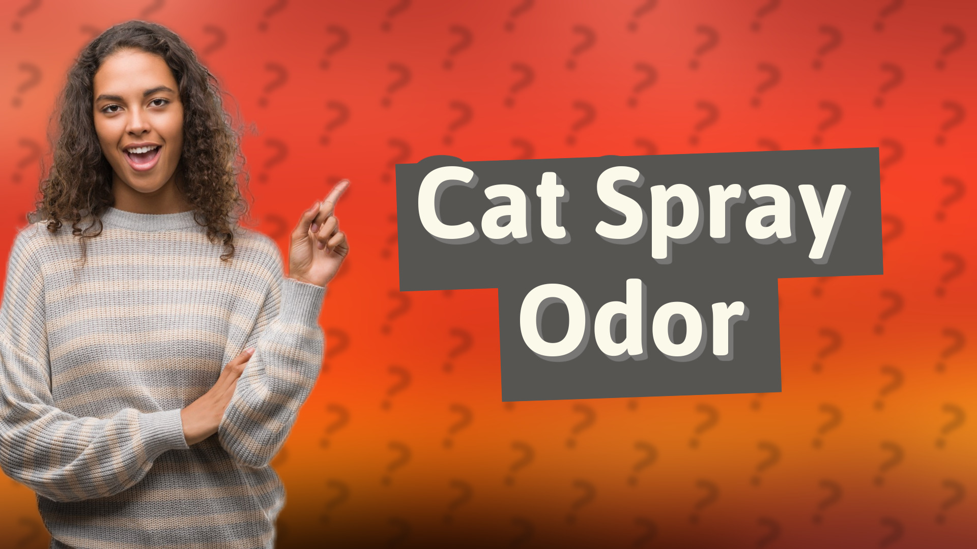 Cat Spray Odor