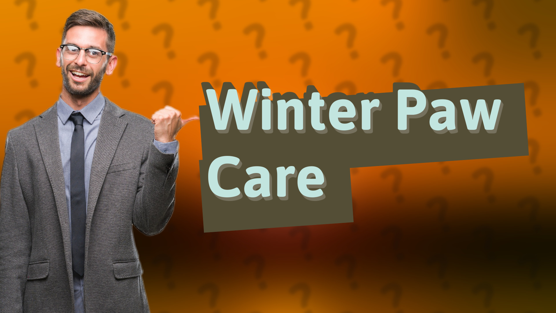 Winter Paw Care