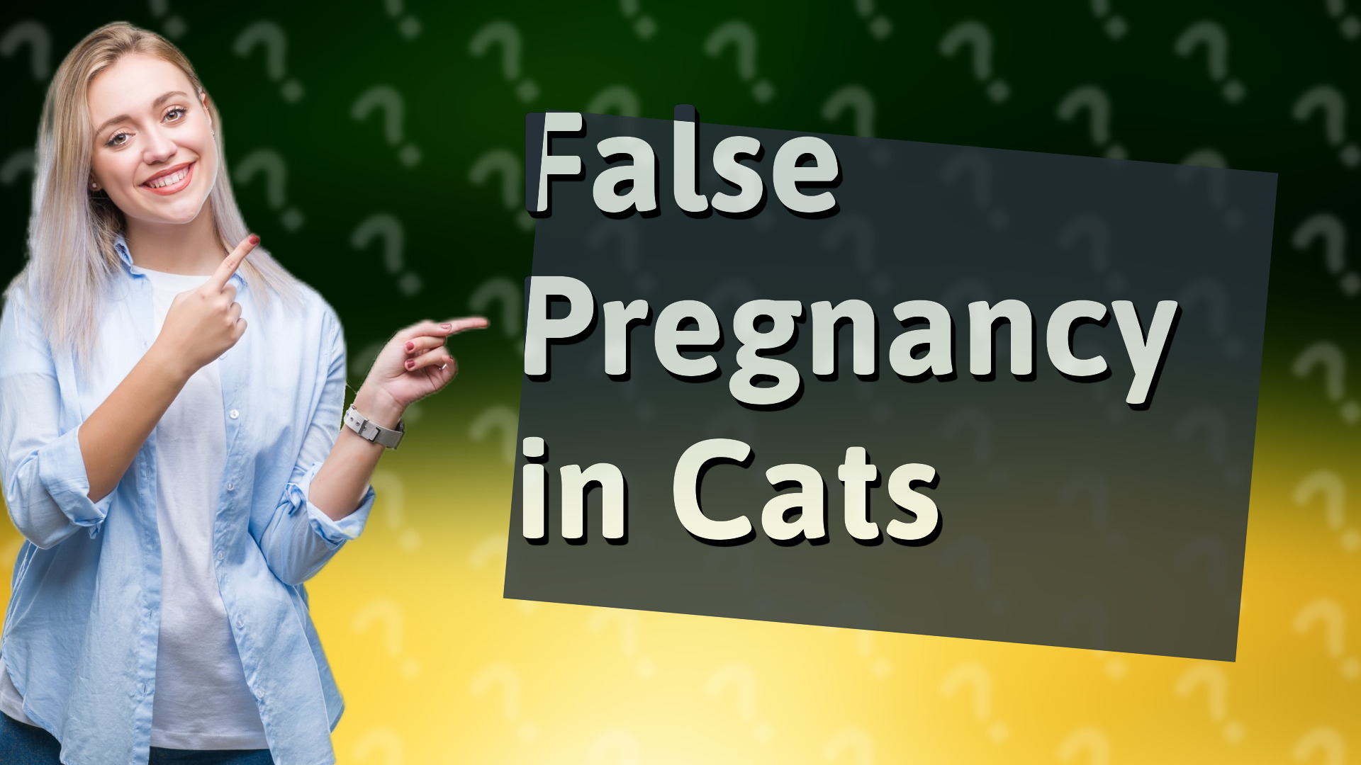 False Pregnancy in Cats