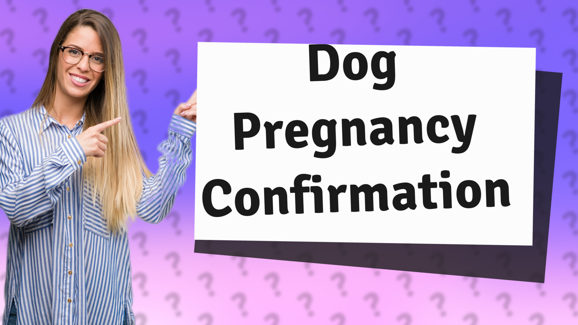 Dog Pregnancy Confirmation