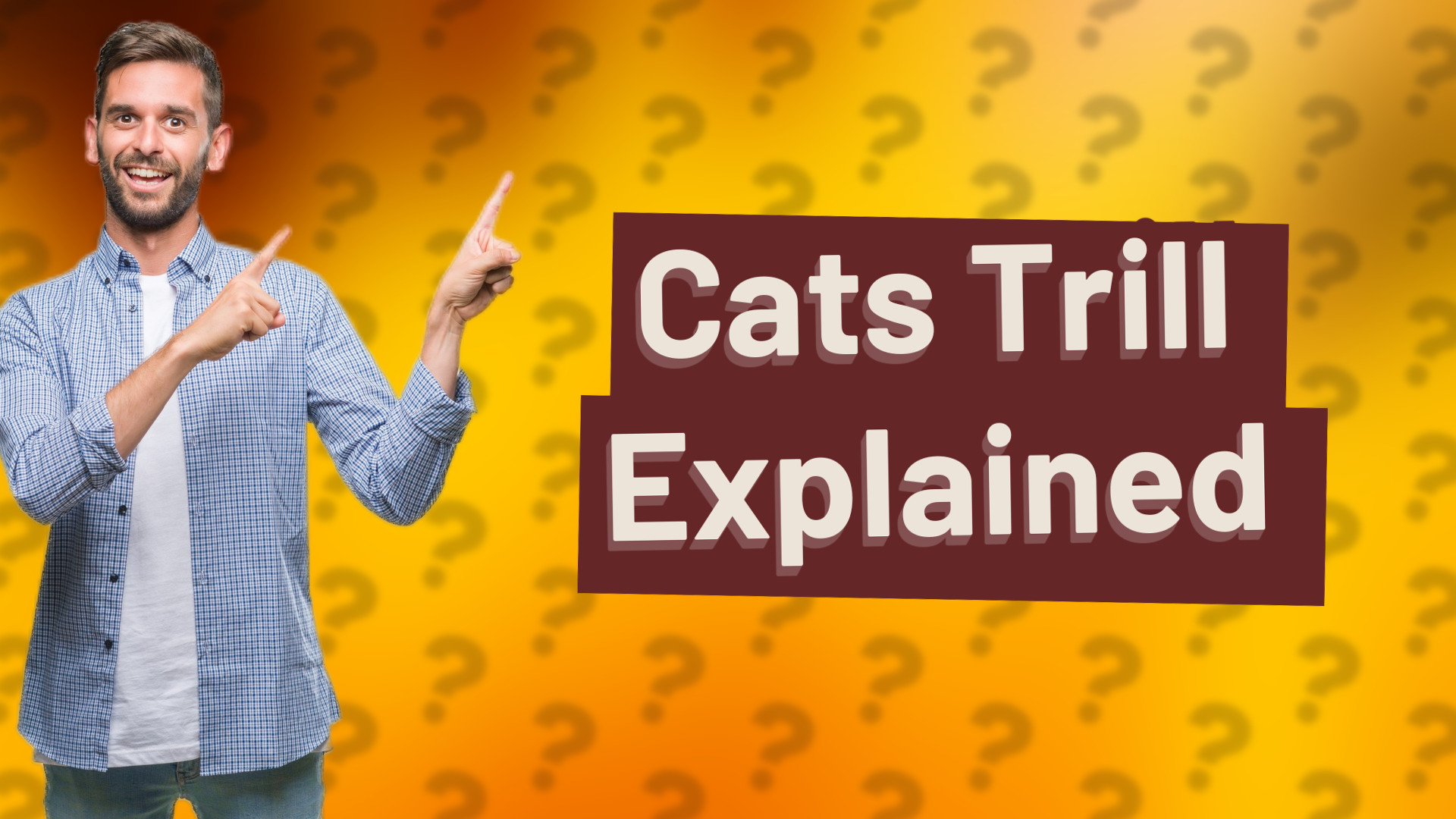 Cats Trill Explained