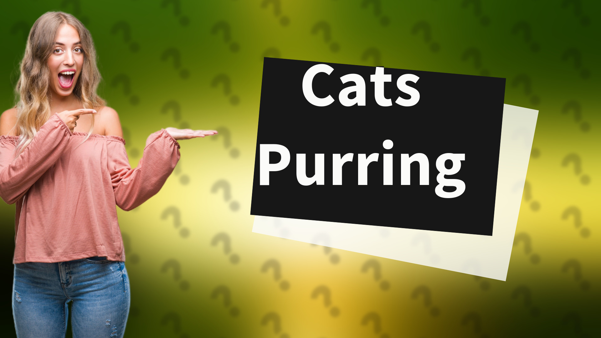 Cats Purring