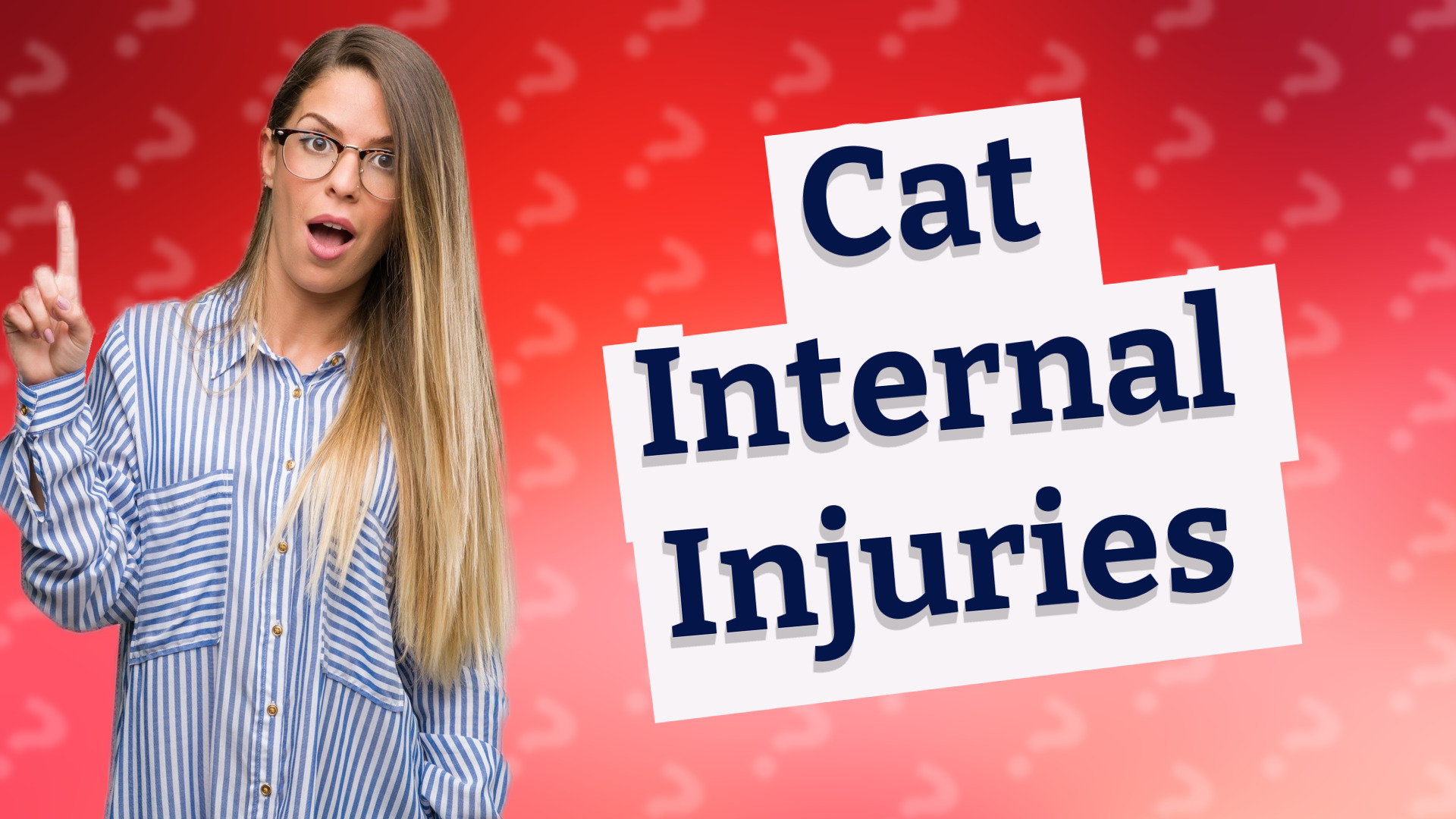 Cat Internal Injuries