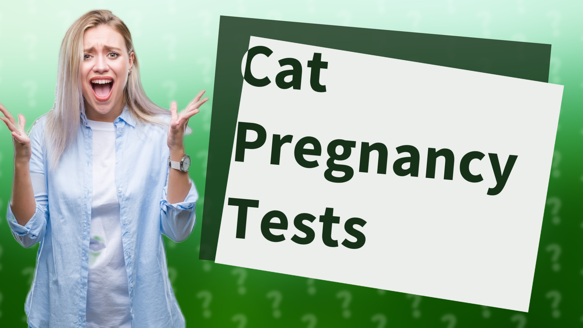 Cat Pregnancy Tests