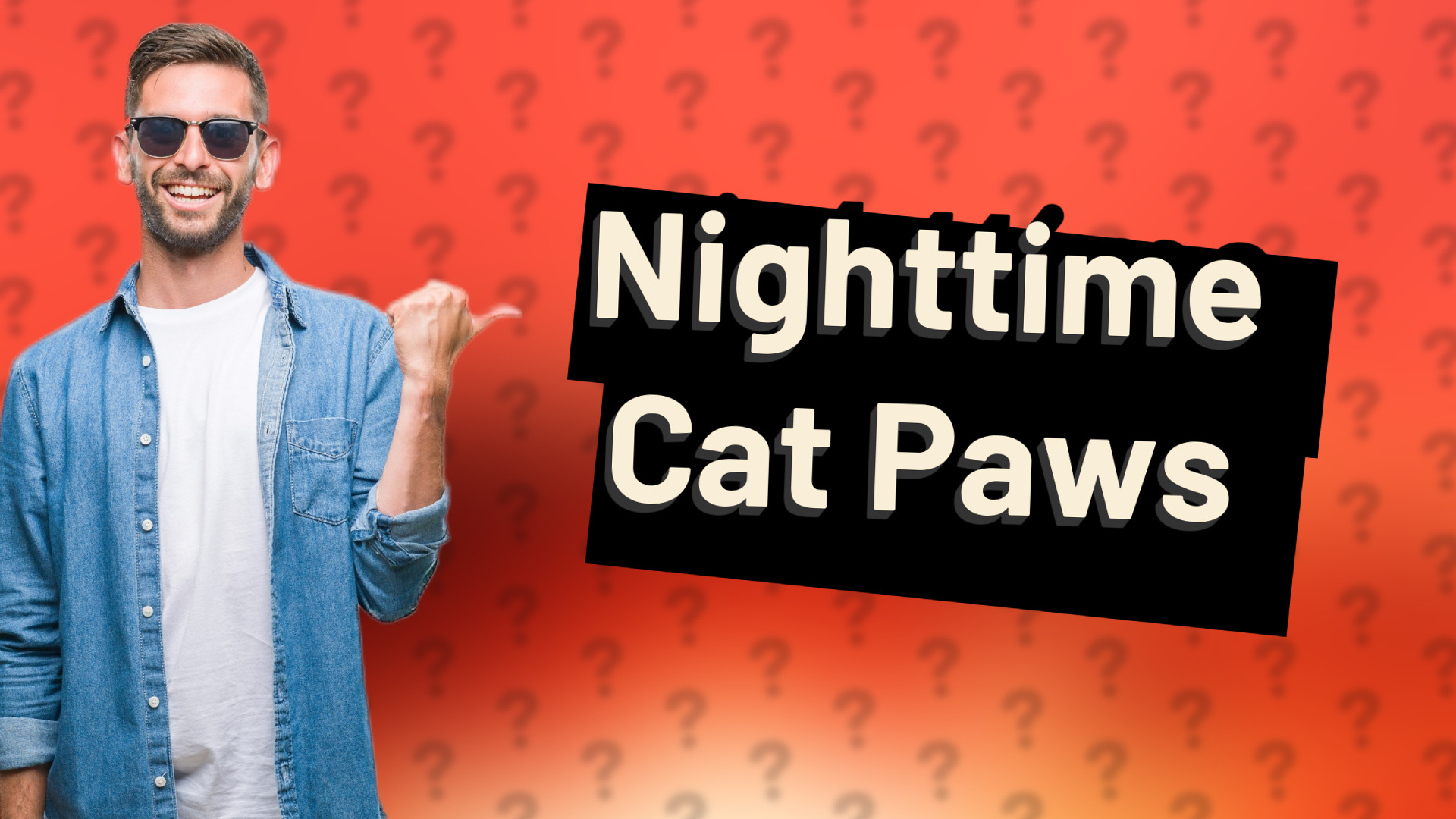 Nighttime Cat Paws