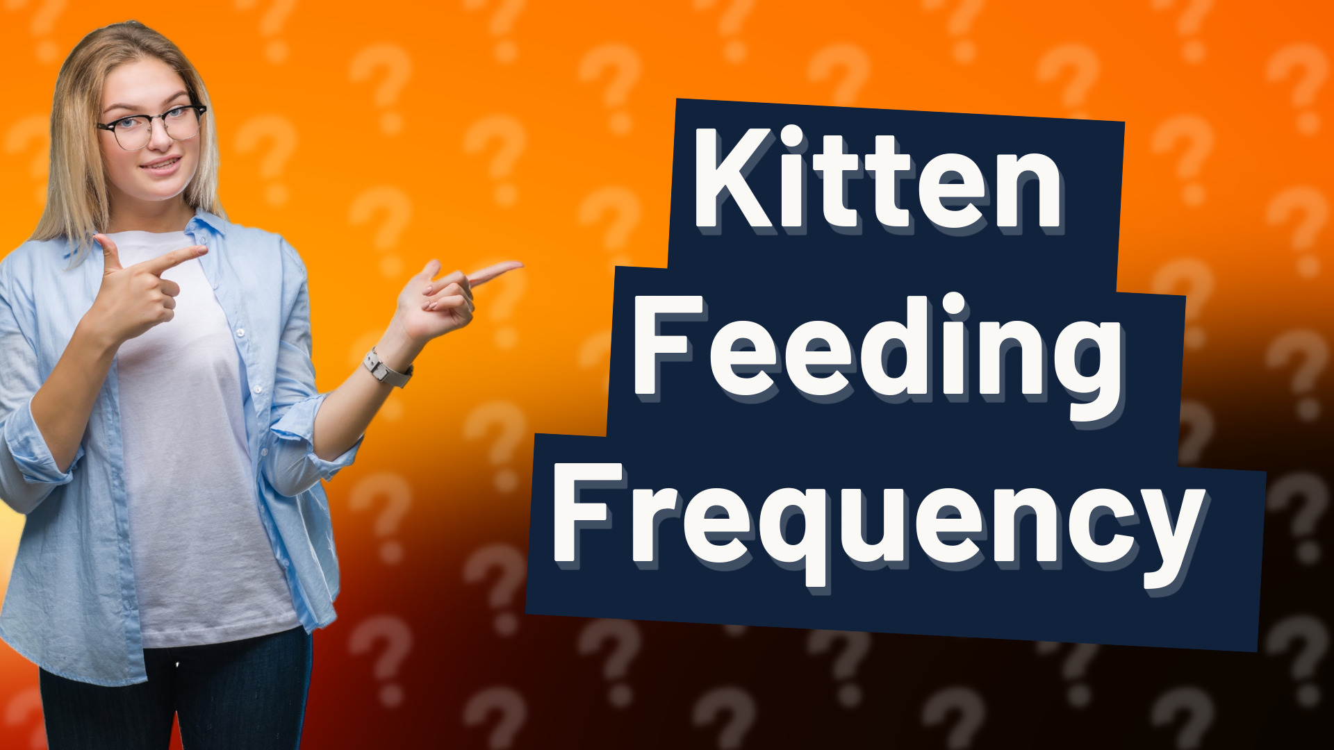 Kitten Feeding Frequency