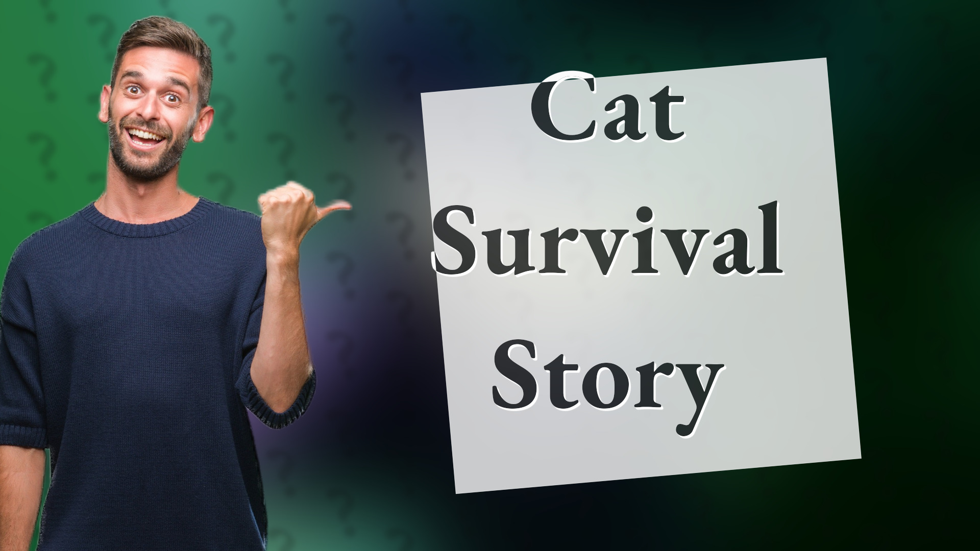 Cat Survival Story