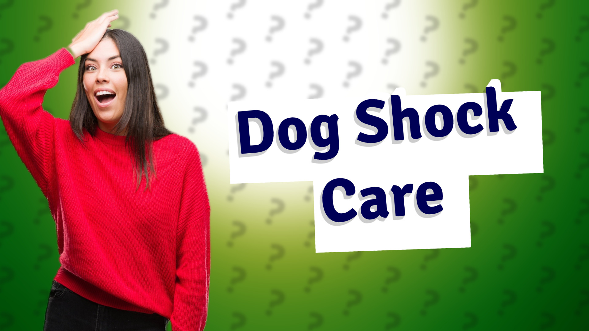 Dog Shock Care