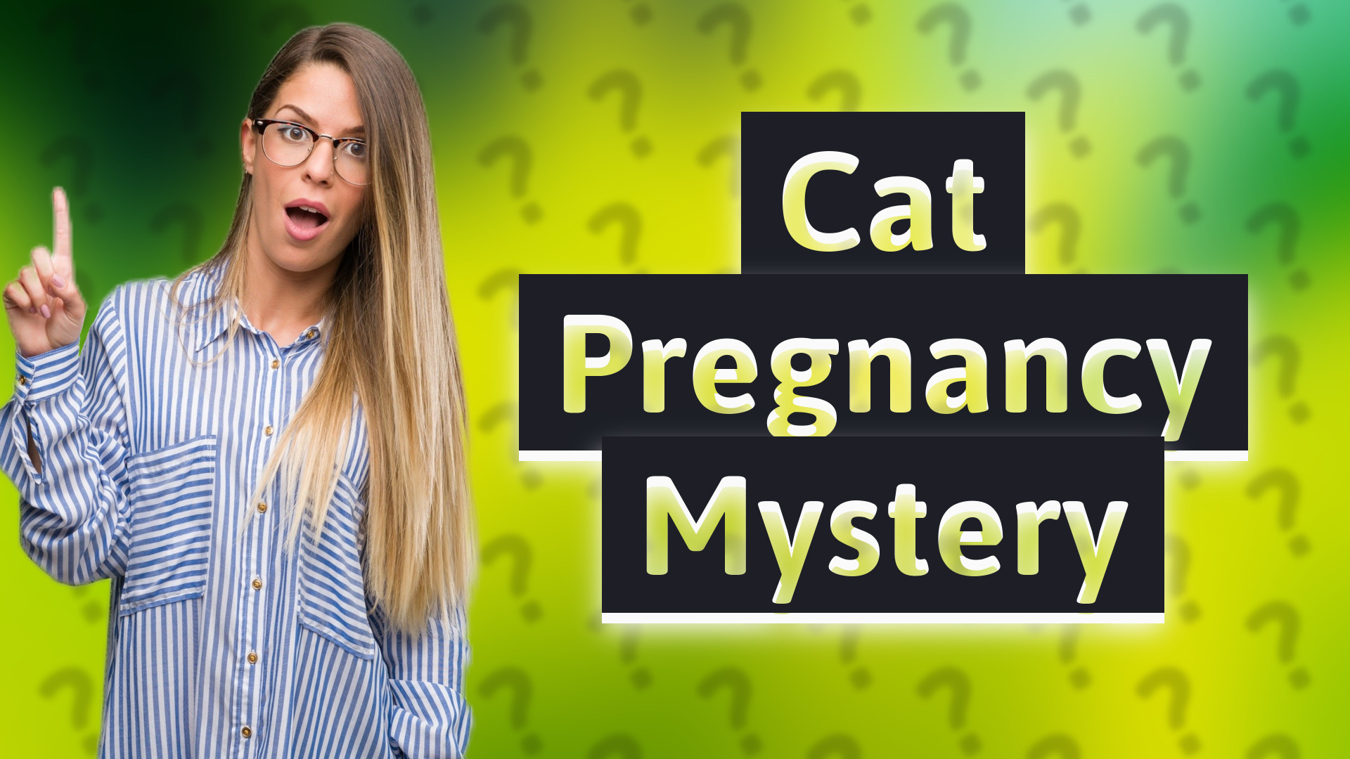 Cat Pregnancy Mystery