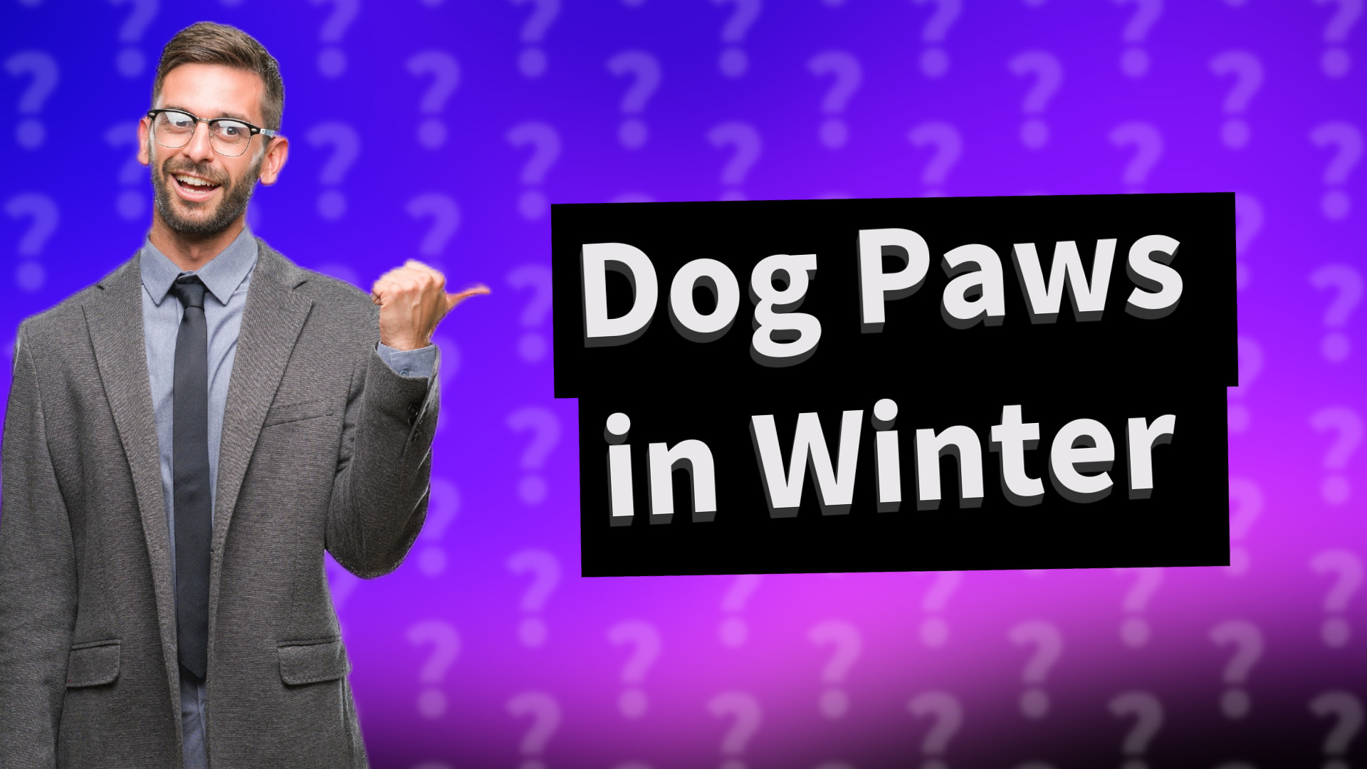 Dog Paws in Winter