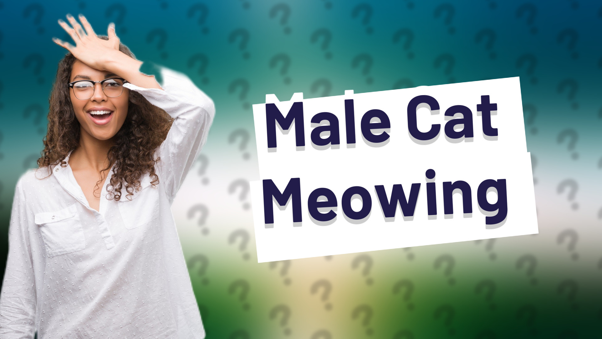 Male Cat Meowing