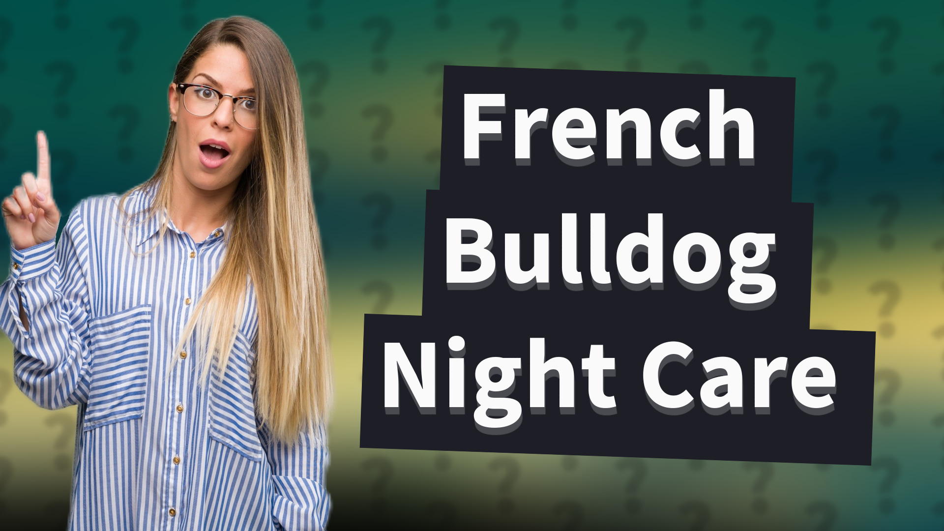 French Bulldog Night Care