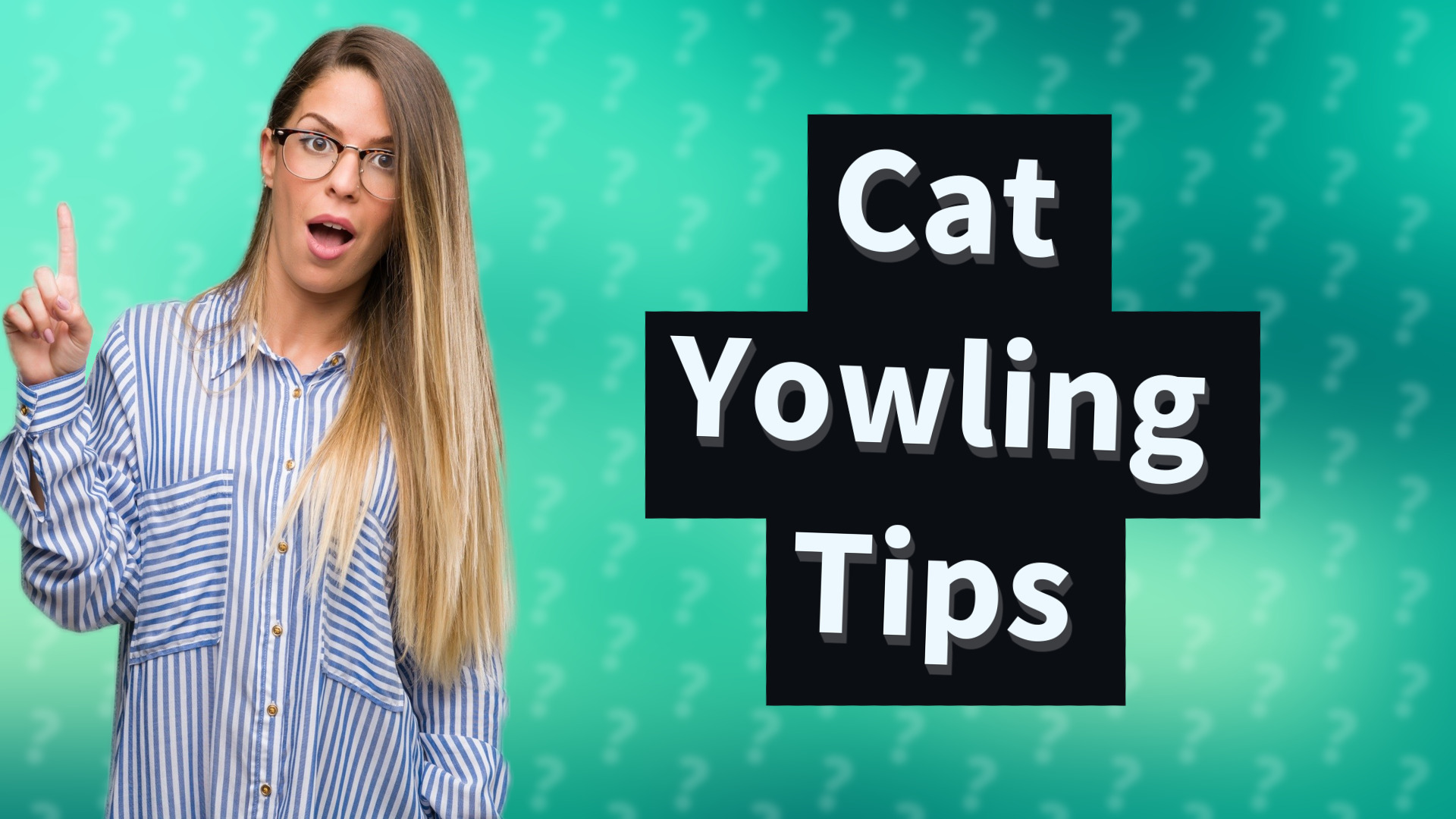 Cat Yowling Tips