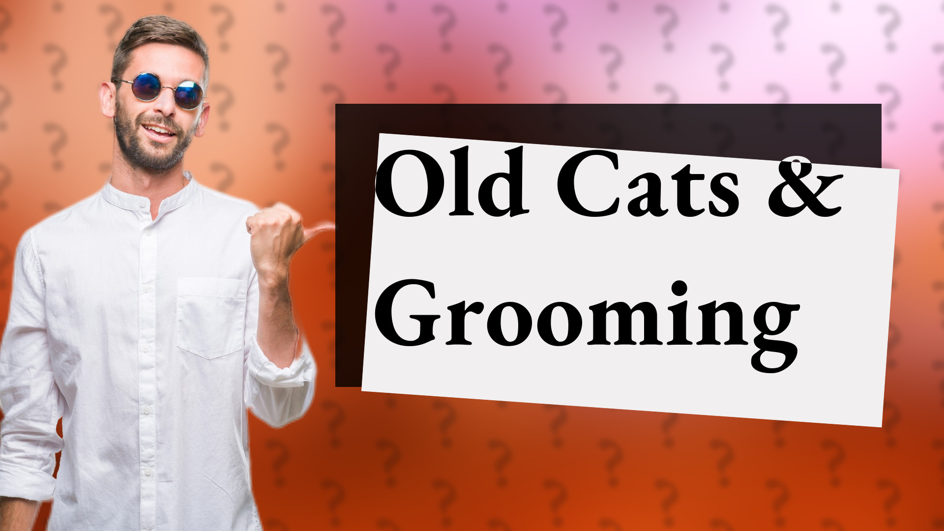 Old Cats & Grooming