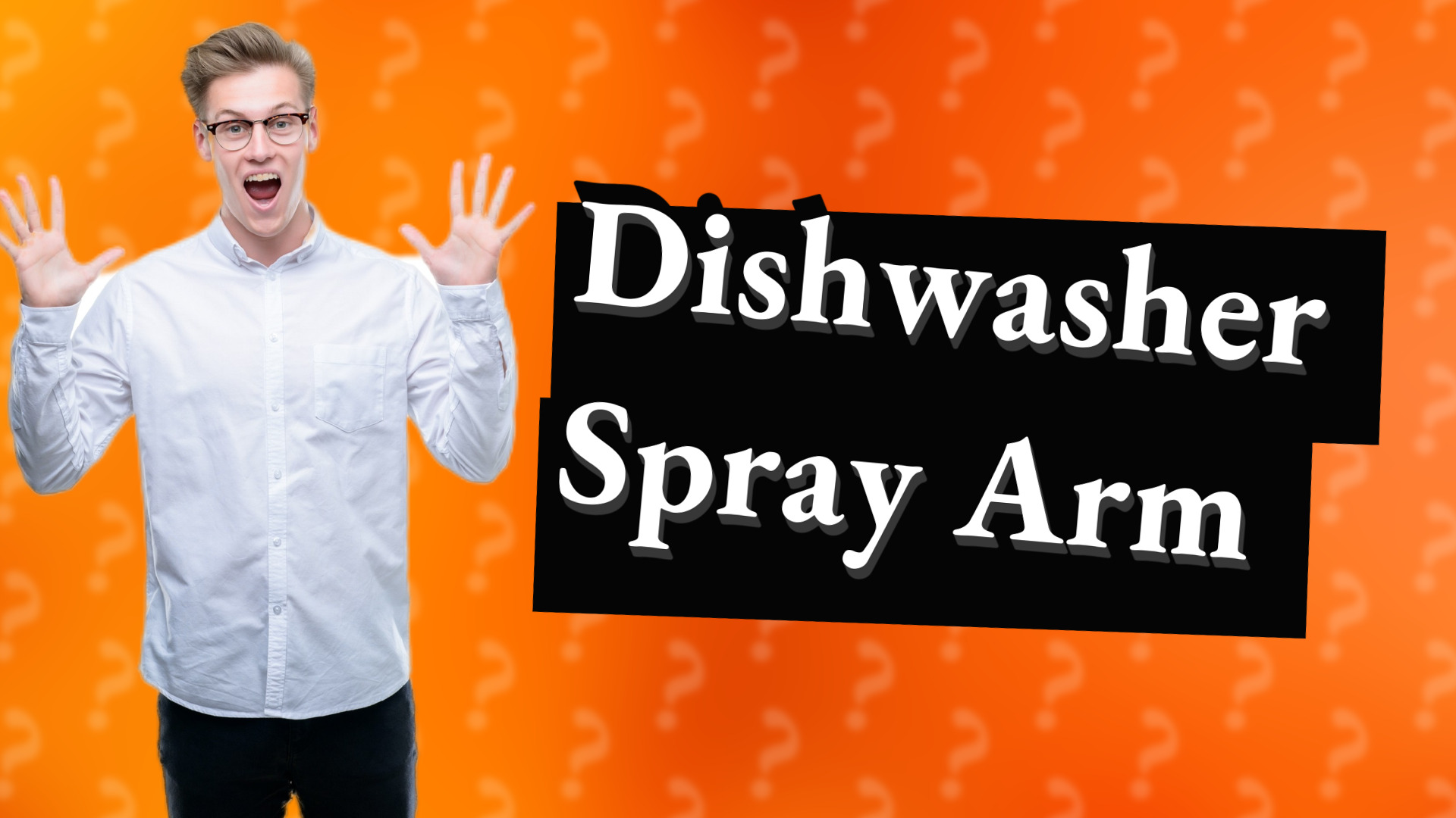Dishwasher Spray Arm