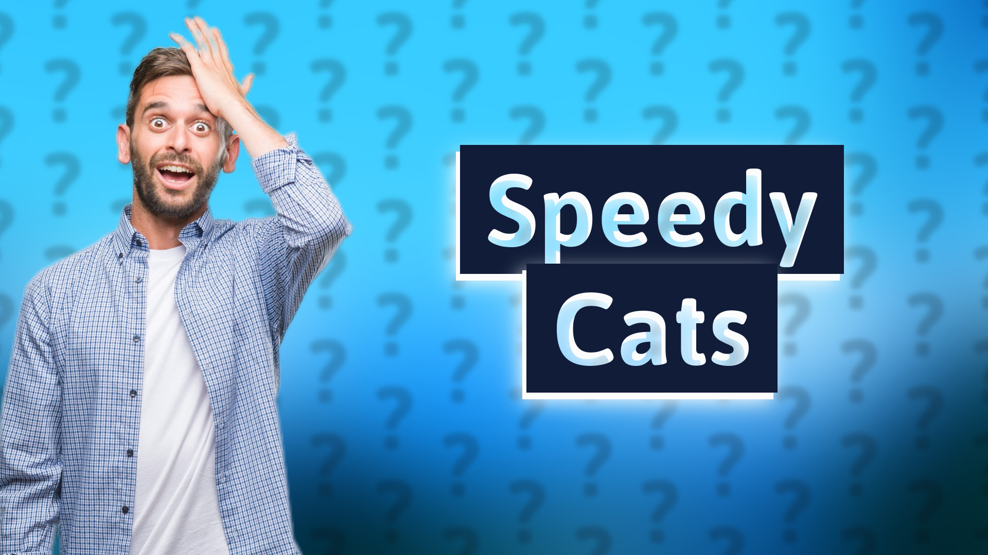 Speedy Cats