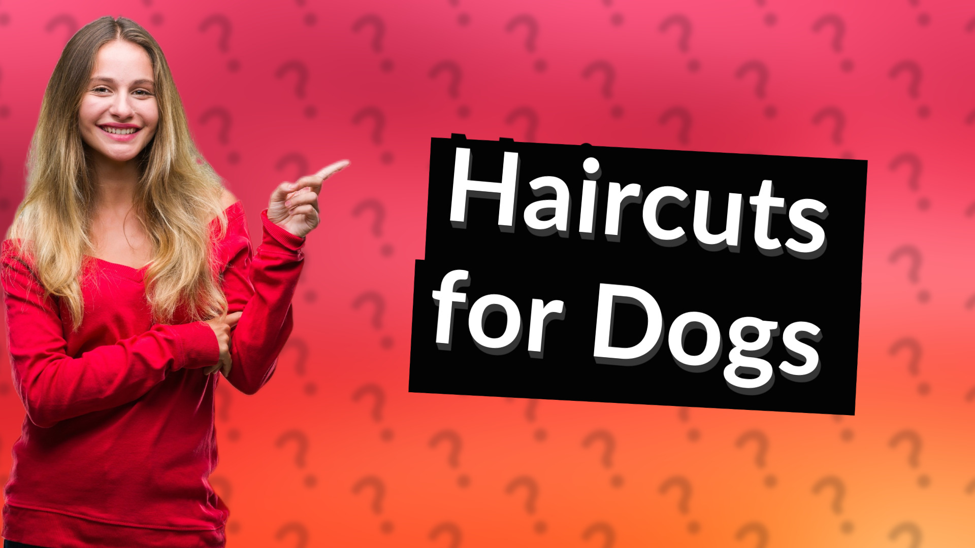 Haircuts for Dogs