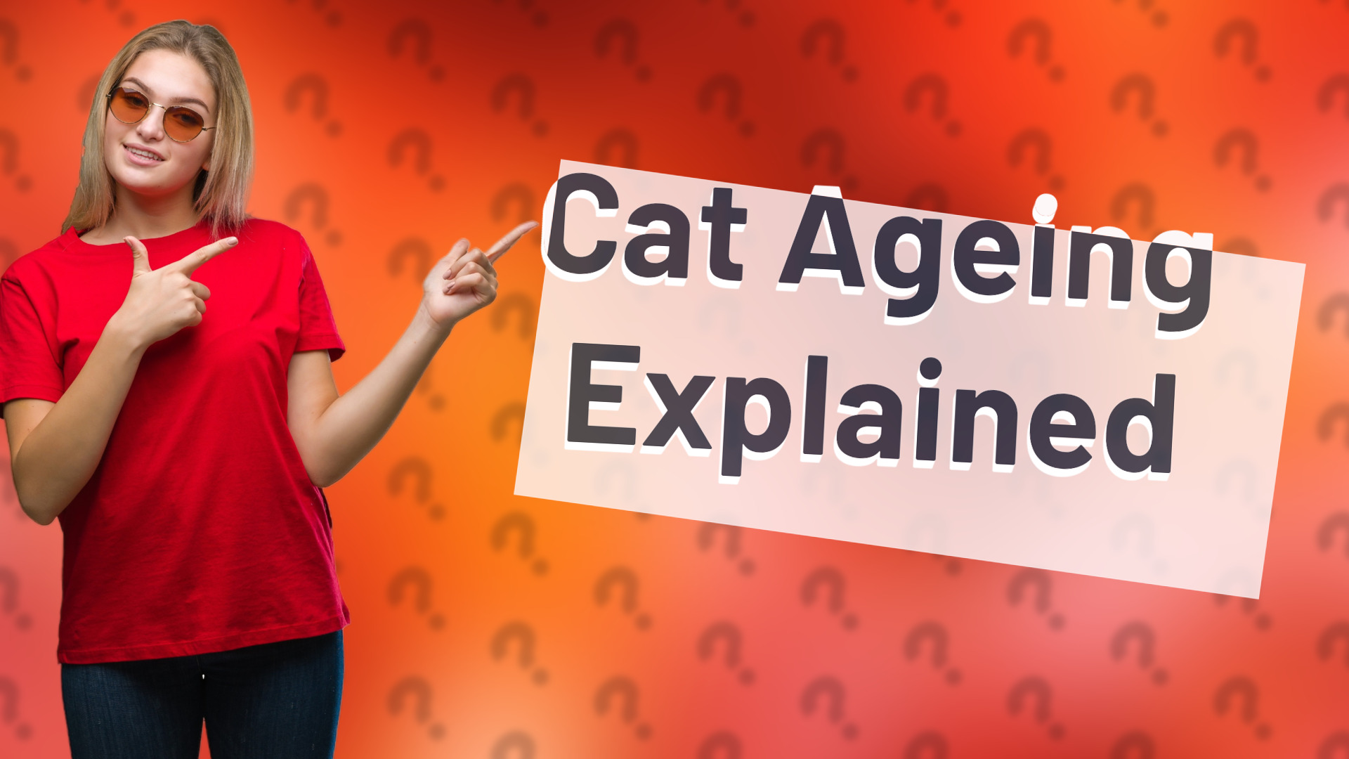 Cat Ageing Explained