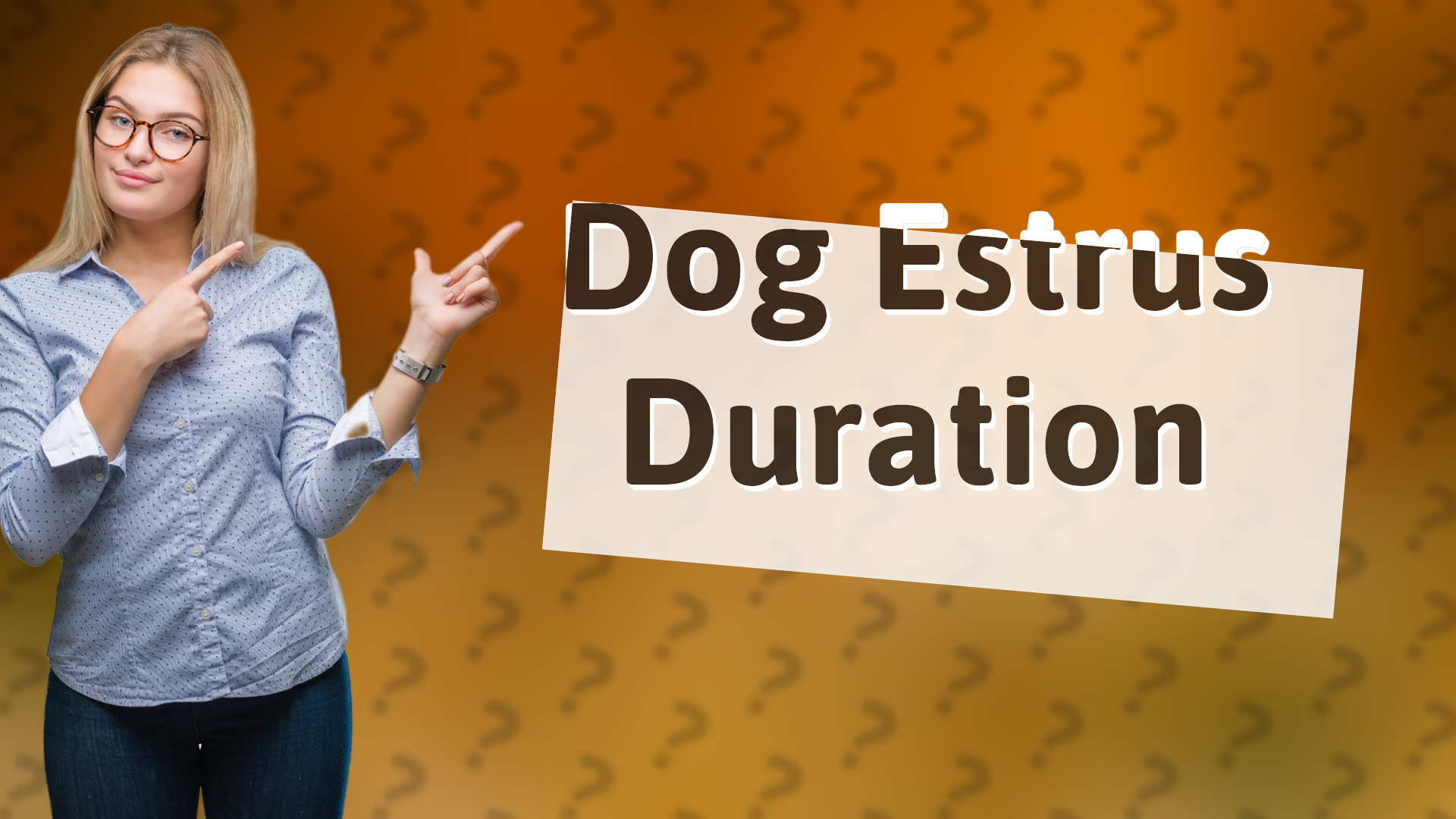 Dog Estrus Duration